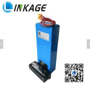 18650 Bike Battery 48V 15Ah for Electric Skateboard