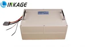 24V 80AH E Boat Battery