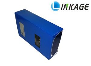 48V 10AH Lithium Ion Battery