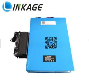 48V 70AH Tourist Vehicle Battery Pack Panasonics 2900