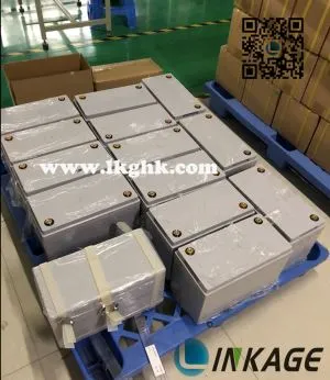 Bluetooth Golf Buggy Batteries 12.8V 200AH