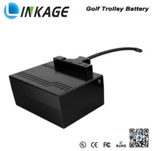 Golf Trolley Battery Pack 12V 18AH Lithium Ion Battery