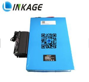 Harley Battery 48V 40AH