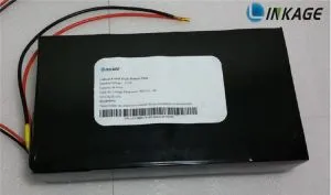 Rechargeable D Batteries 25.2V 46.4AH RF Repeater Robot