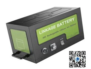 Special Military Battery 48V 51AH